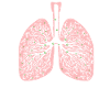 Lungs with virus