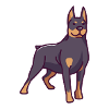 Doberman Pinscher