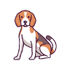 beagle