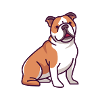 Bulldog