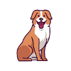 Australian Shepherd