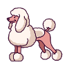 poodle