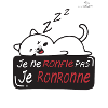 Ronfle chat