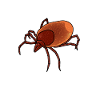 Tick, ticks, bloodsuckers, vermin, pests