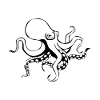 Poulpe octopus dessin noir blanc t shir