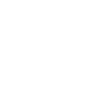 Scottish Highland Cow