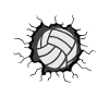 Volleyball ball