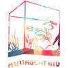 Aquascaping Gift