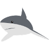 Motif requin Grand requin blanc