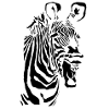 zebra
