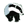 Badger Kind And Trustworthy