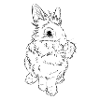 Lion head rabbit
