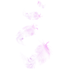 four soft pink feathers