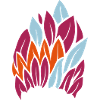 Feathers