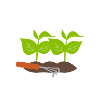 Plant manager gardener gardener gardening