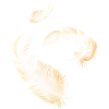 Golden feathers