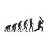Cricket evolution