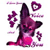 Cute dog chihuahua gift