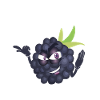 blackberry