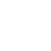 Sprinter