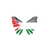 Papillon de Palestine