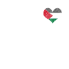 Palestine heart