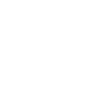 Vegan V