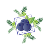 Blaubeeren