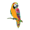 Perroquet