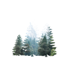 Window into nature