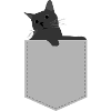 Pocket cat