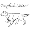 English setter above