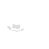Country Music