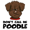 Poodle1 2