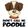 Poodle1 1