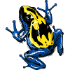 DendroBAT