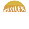 Gitarre Gitarren Evolution