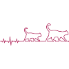 ecg cat