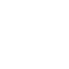 Marktführer Elektroautos