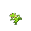 Frog lover gift