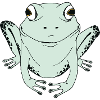 Happy frog