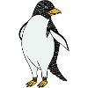 Farbiger Pingiun