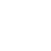 Antifaschist*in
