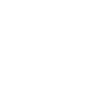 Parson Russel Terrier chien