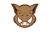 wild boar