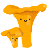 Happy chanterelles