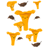 Happy chanterelles