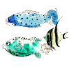 fishes
