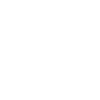 VAN LIFE camper t-shirt