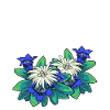 Piante della flora della natura della genziana della stella alpina Edelweiss delle montagne